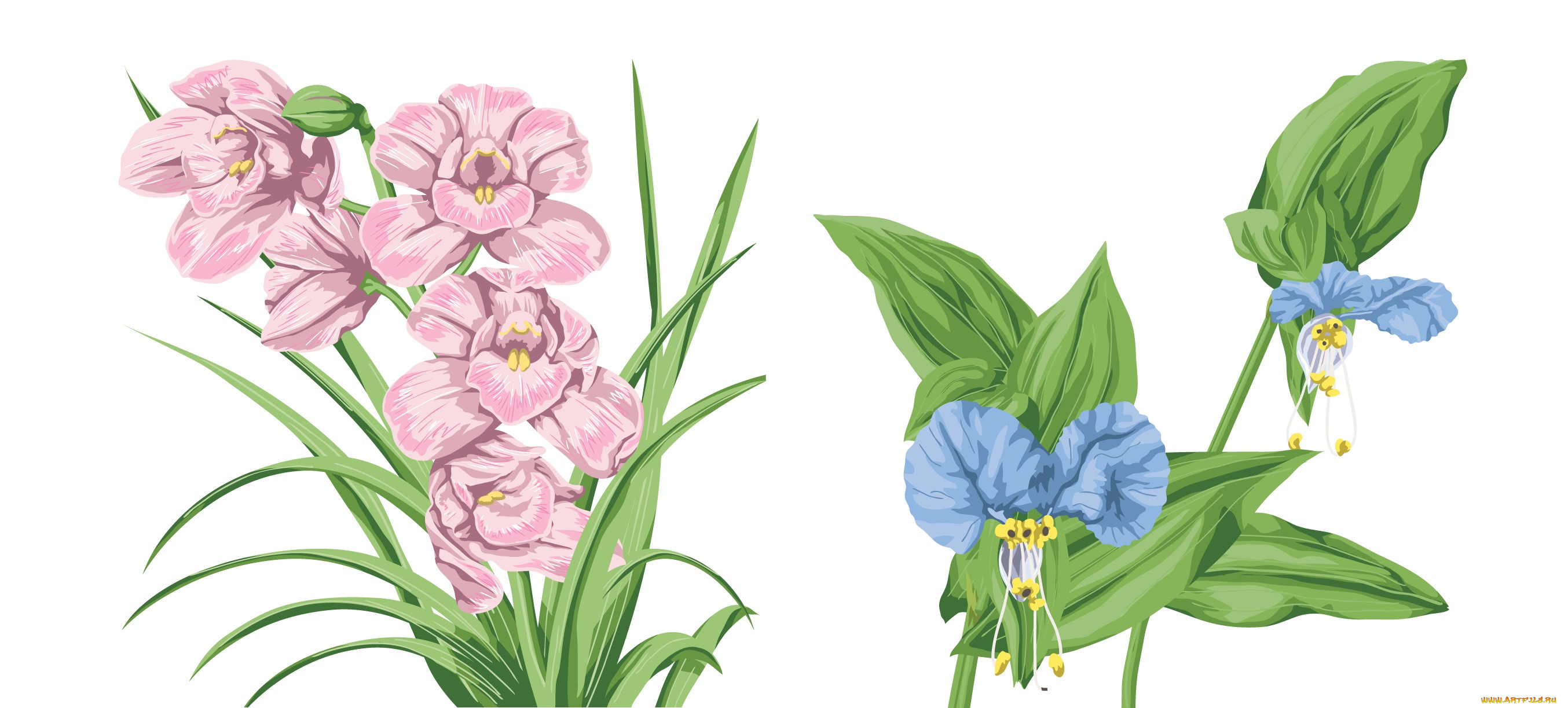  ,  , flowers, , , , 